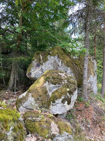 Konst: Bisonoxe