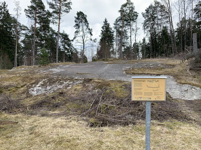 Örsta hällristning, Angarnssjöängen