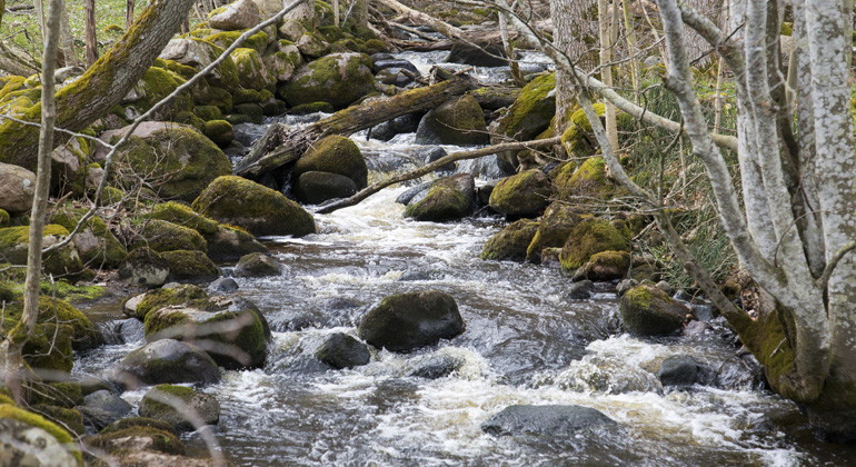 Segesholmsån.