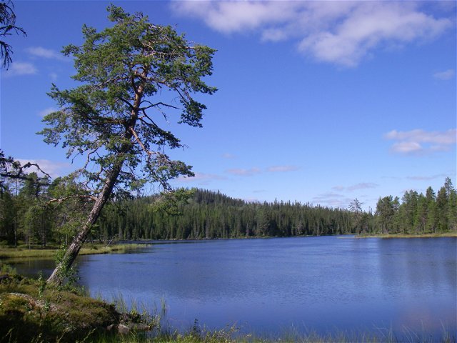Väster-Fånsjön