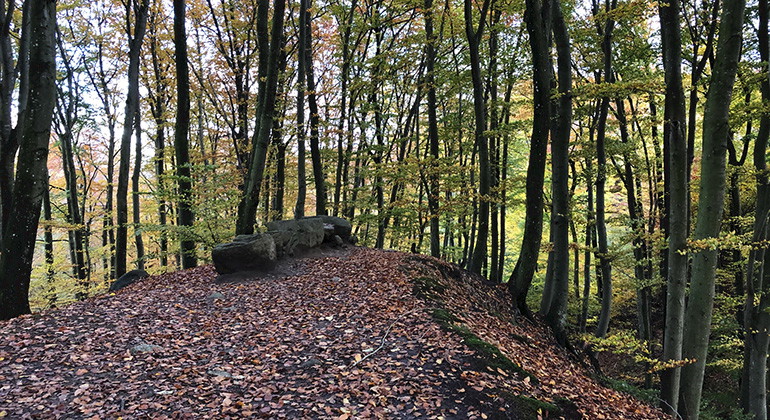 Kronprins Oscars minnesstenar.