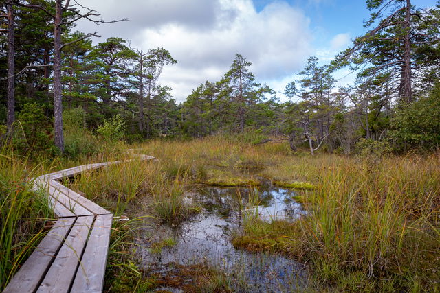 Naturstig till fågeltorn, Storsund