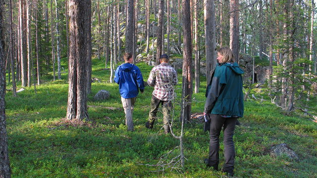 Stora Vänsberget