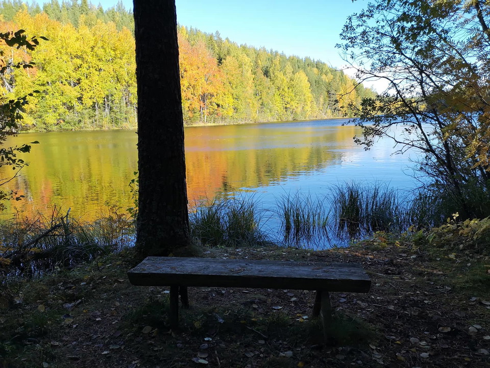 Stråsjö-Långtjärn