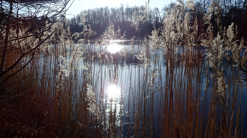 Kottlasjöns södra vik. Foto Lidingö stad