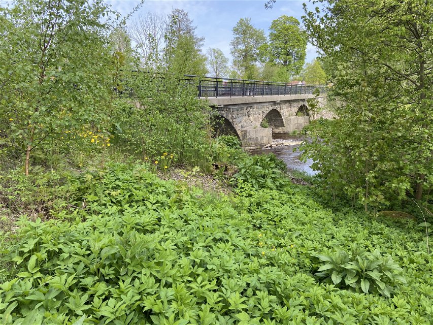 Stenvalvsbron i Fors.