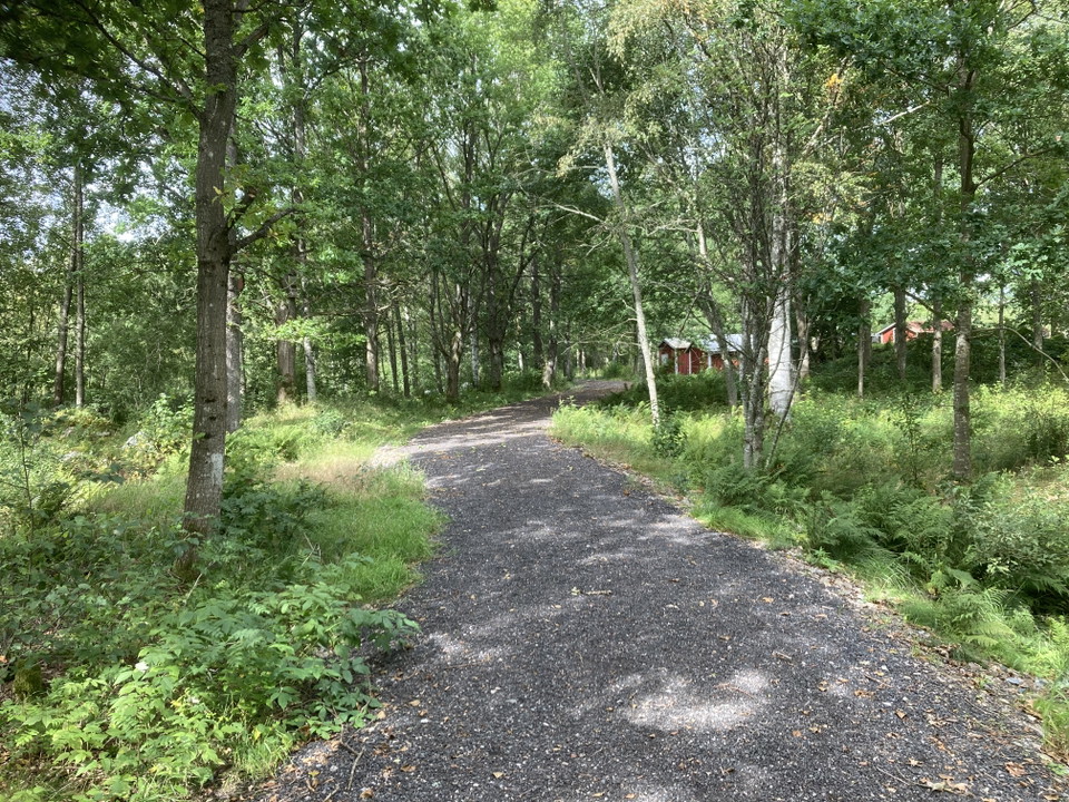 En stig i skogen
