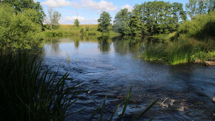 Forshalls Naturpark