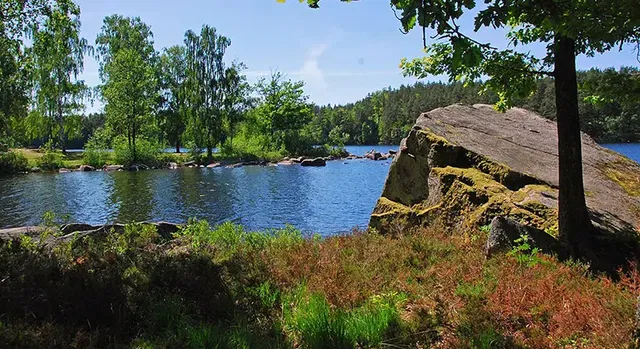 Långasjönäs, Naturreservat