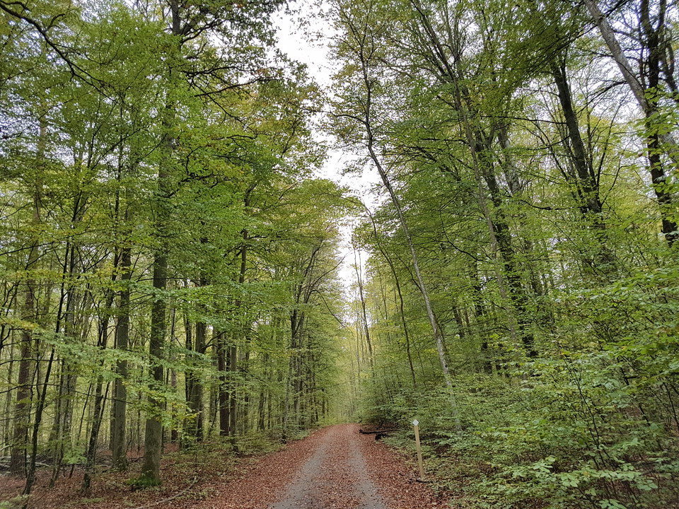 Fotograf: Martin Unell