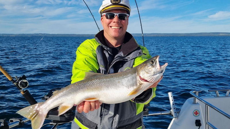 Vätterns Fiskecharter