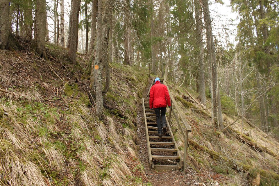 En person går uppför en brant trätrappa med handräcke på ena sidan. Runtom trappan står många träd i en brant sluttning.
