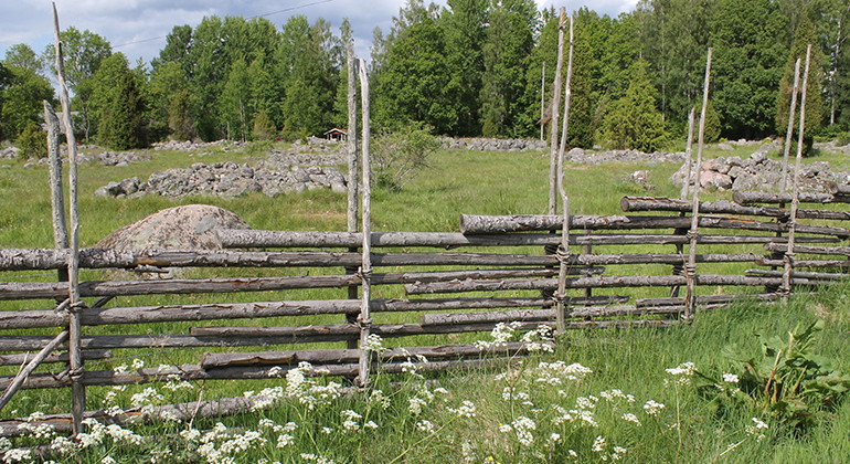 Trägärdsgård med odlingsrösen och betesmark i bakgrunden