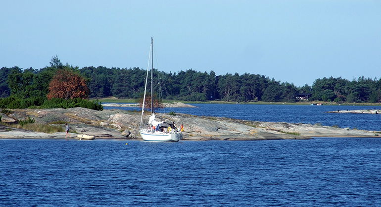 Hästholmen-Ytterön, Naturreservat — Naturkartan