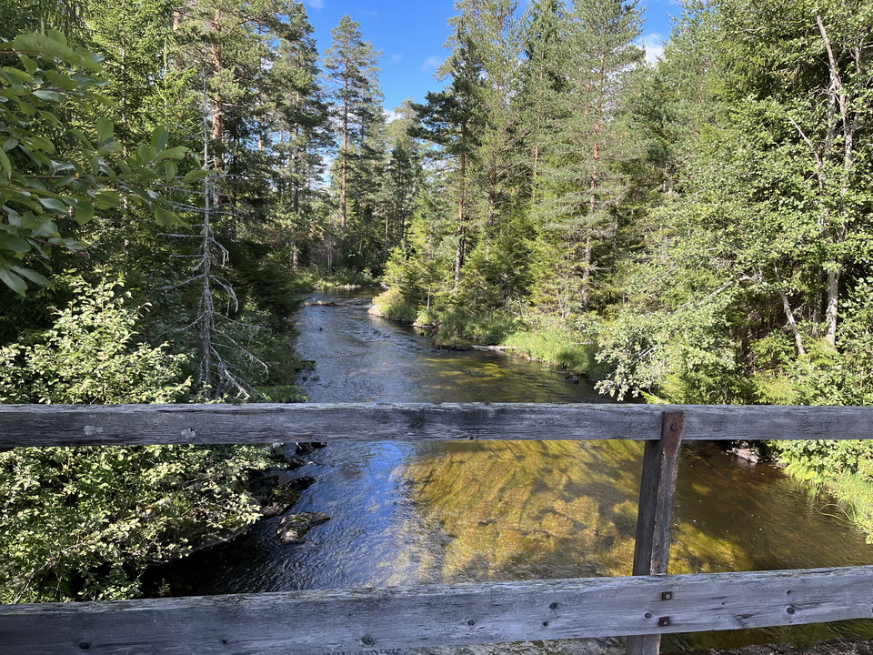 Längs med leden Nyfors