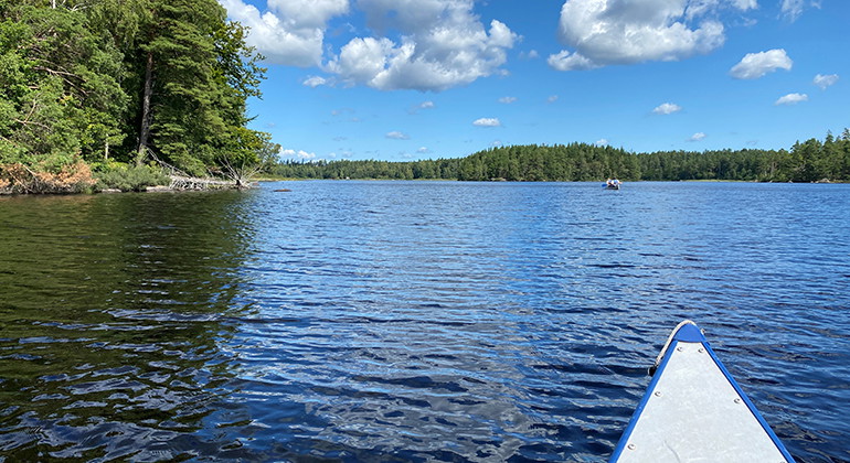 Högön.