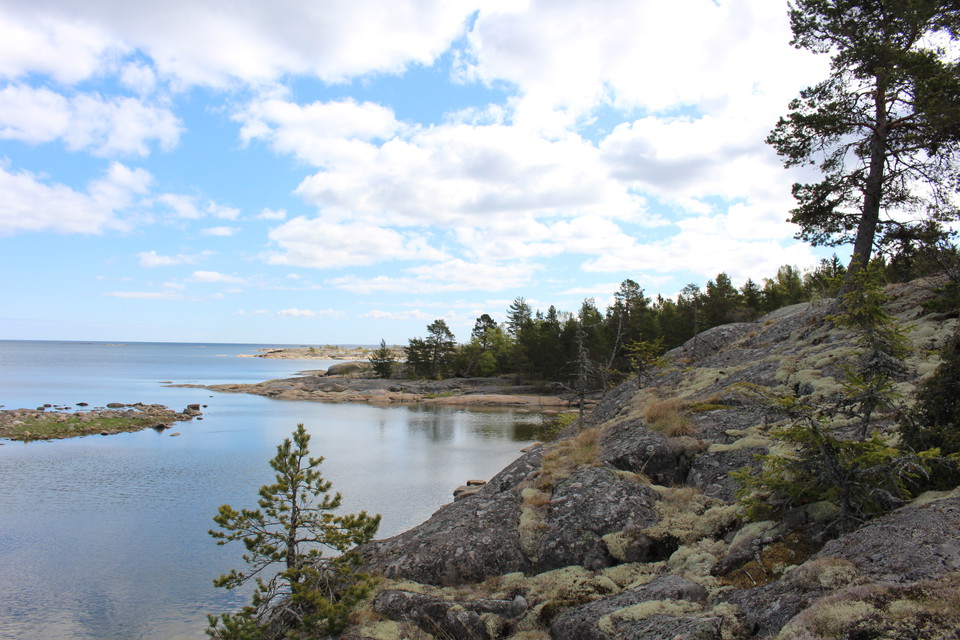 Branta klippor leder ner till havet. Längre bak i bilden finns det skog vid klipporna.