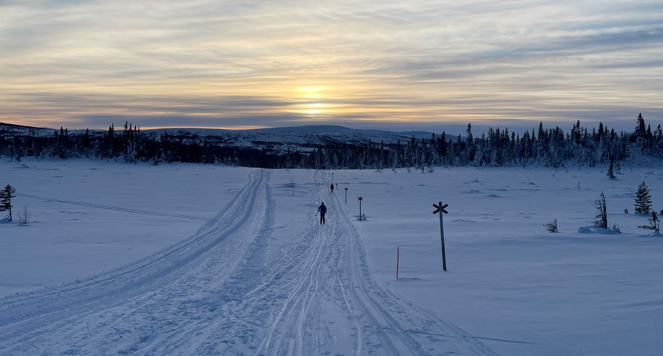 Två personer skidandes över en myr