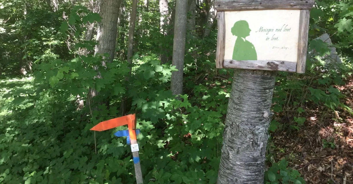 Citatslinga Ellen Key