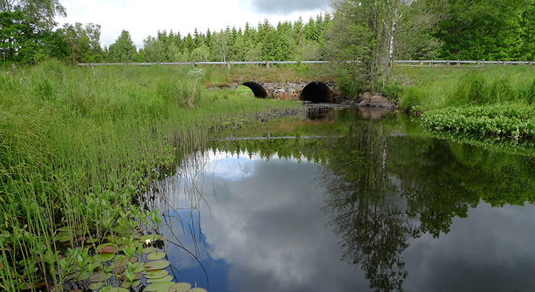 Lugntflytande å under en bro med väg