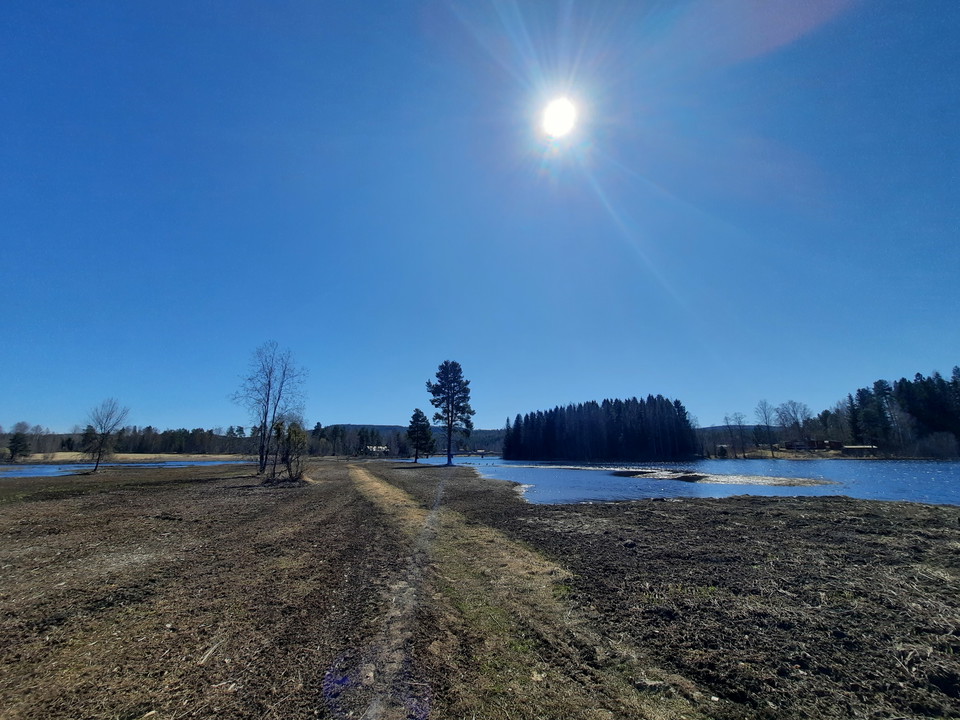 Stigen till/från fågeltornet går i kanten av en åkermark 