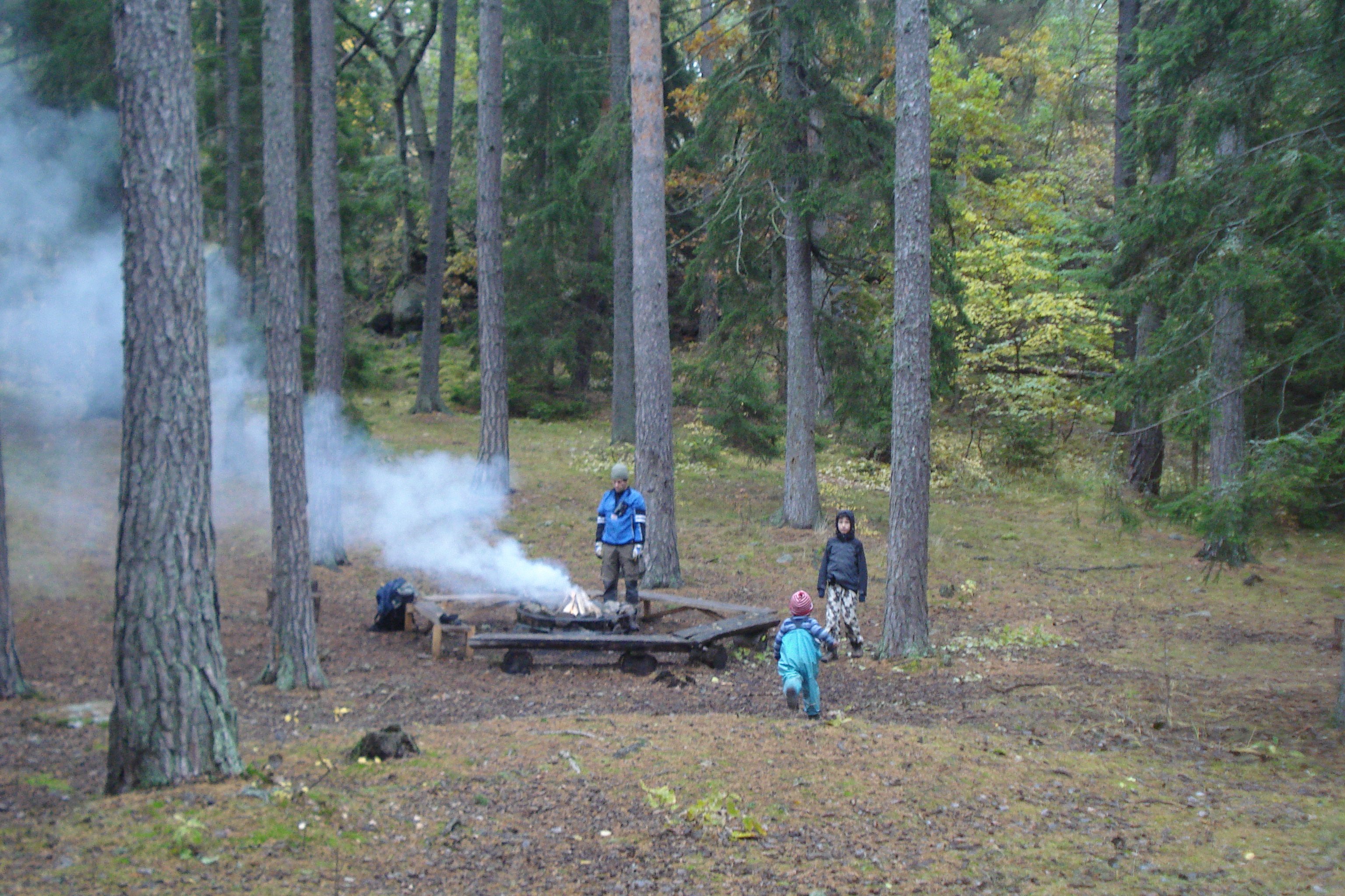 Barn står runt en rykande eldstad bland tallar.