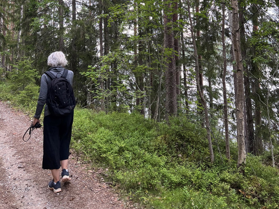 Stråsjöleden går väster om sjön Hennan