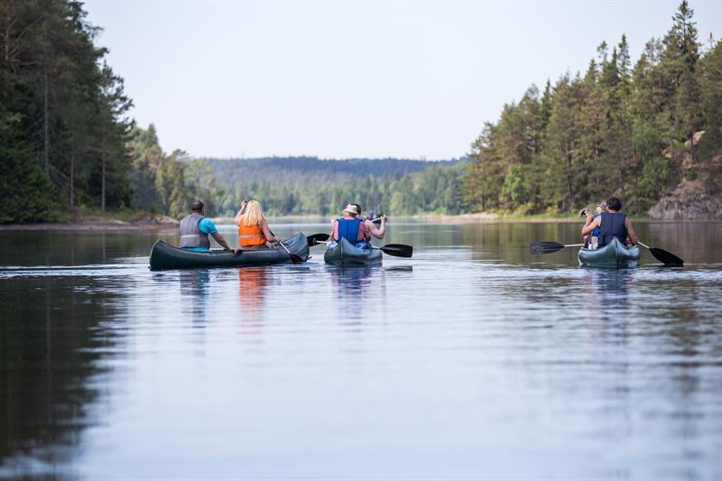 Padlere på Kornsjø
