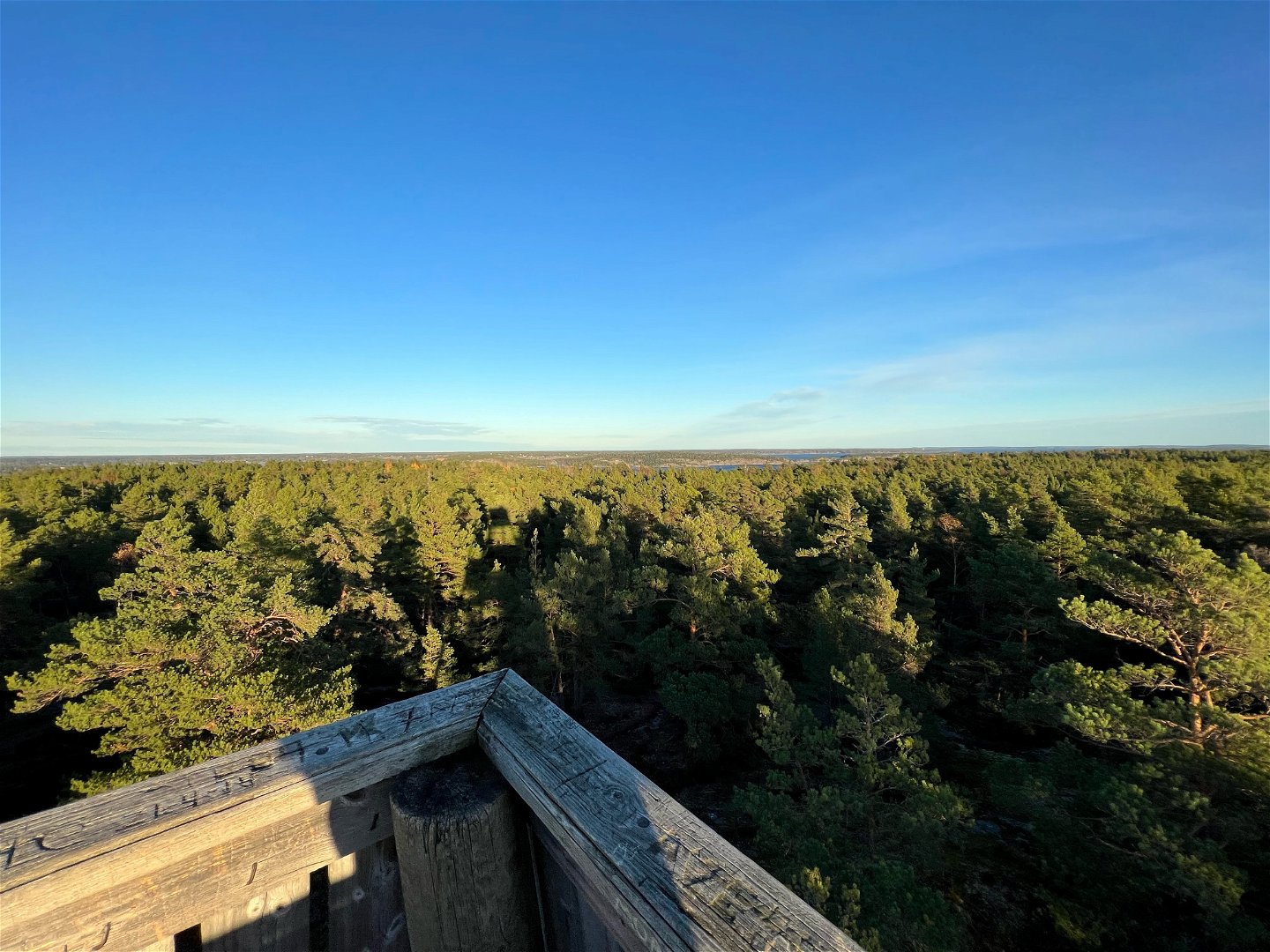 Utsikt från Telegrafbergets utkikstorn