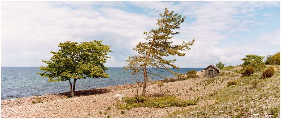 Bild: Sveaskog