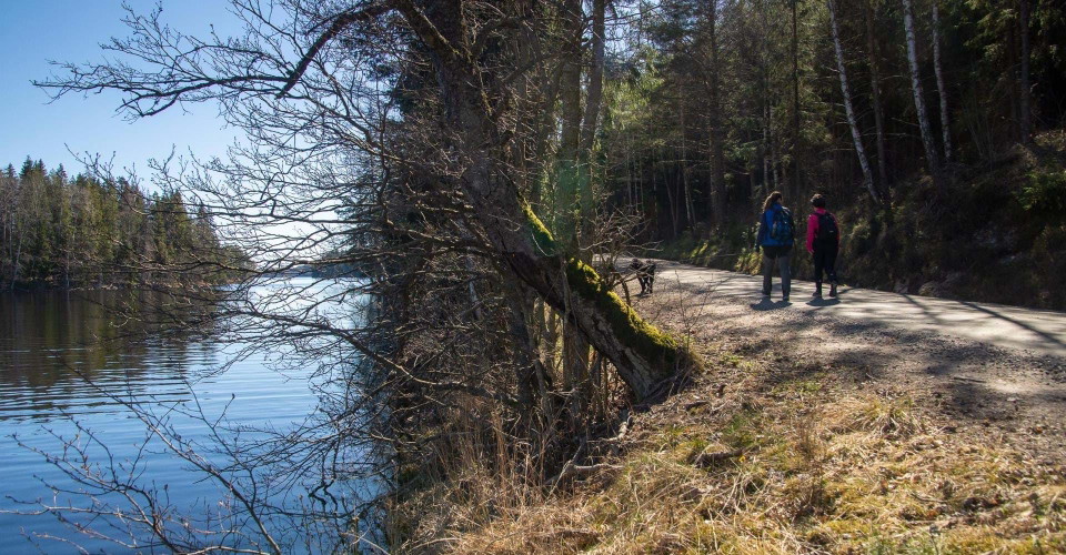 Björkviken runt
Norrköping