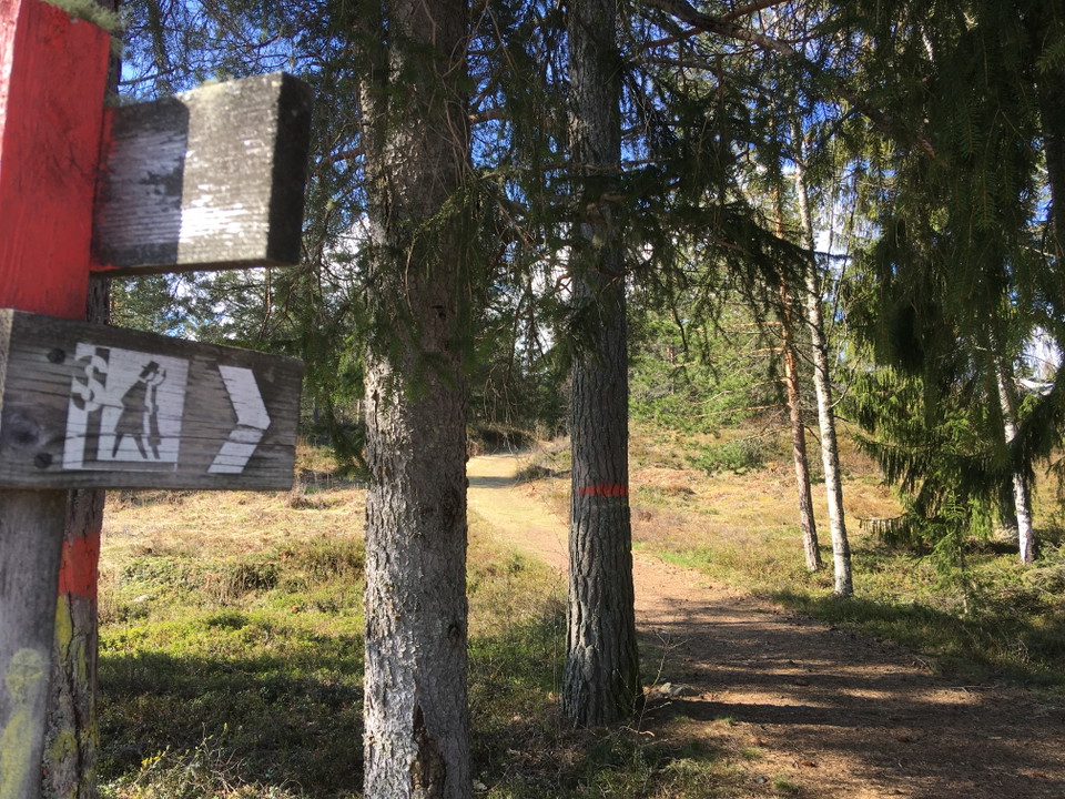Gesunda
