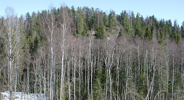 Sånebyklätten, Naturreservat