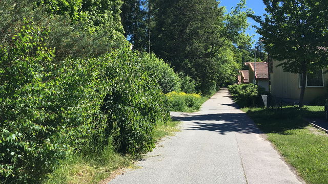 Entré Väsby botaniska trädpark