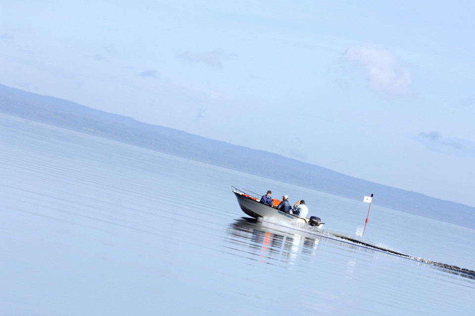 Fiske Bolmen 
