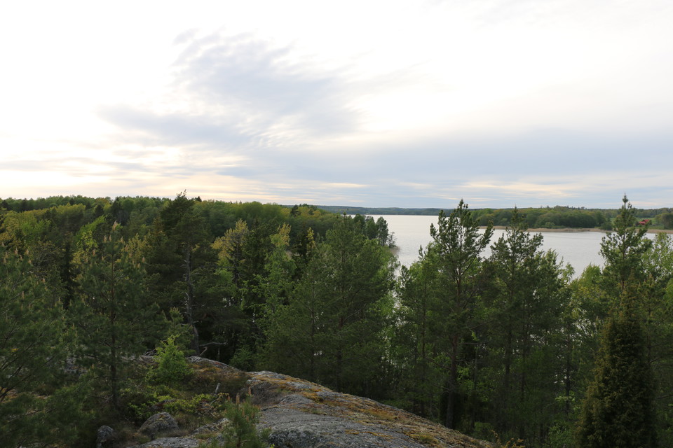 Utsikt över Mälaren vid rastplatsen.