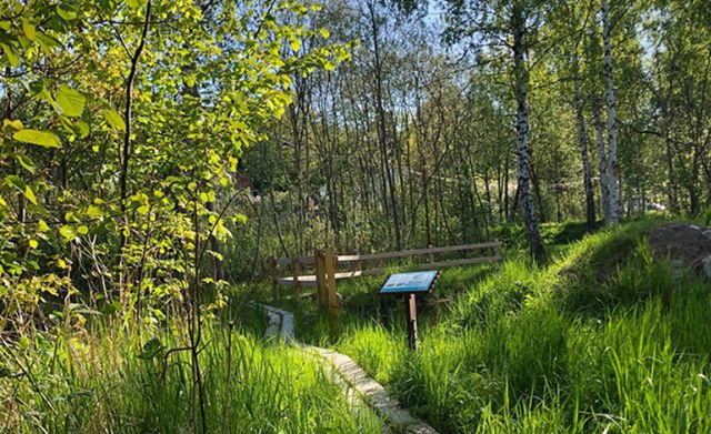 Groddamm Långsjön