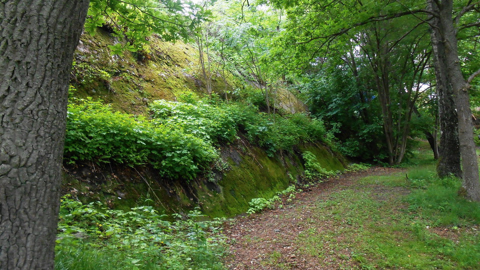 Ekmiljö och bergbrant vid Riksidrottsförbundets anläggning. Foto Lidingö stad