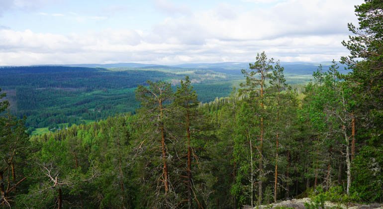 Utsikt från Storberget.