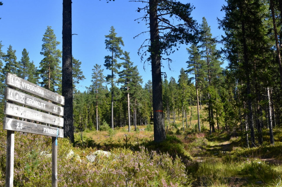 Sista motlutet före Fryksås.
