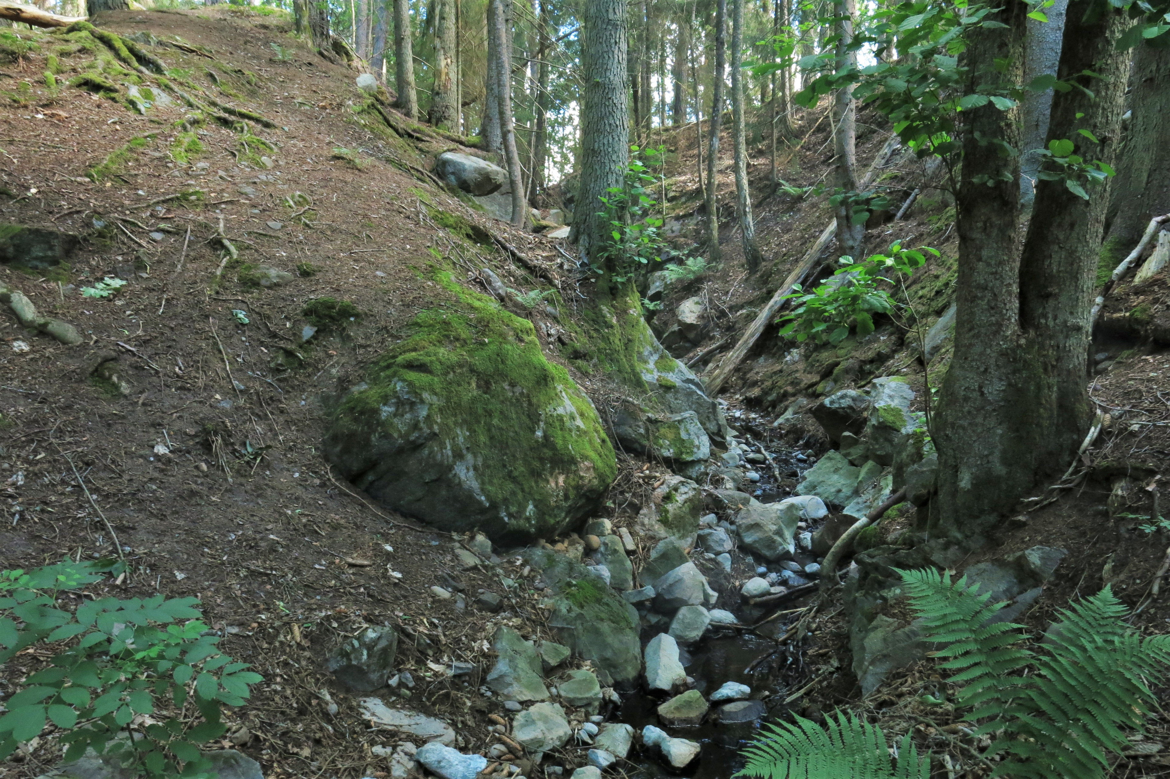 Bäckravinen i Ramunderbergets naturreservat