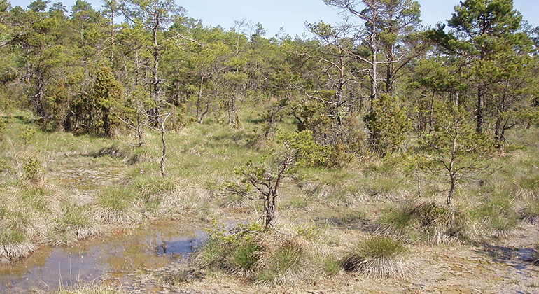 Fotograf: Anna Lindberg