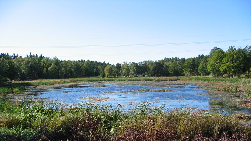 Västra Långängskärret. Foto Lidingö stad