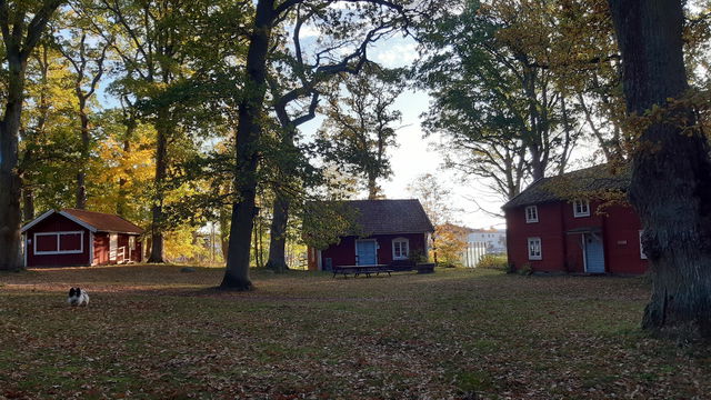 Ekbacken - Torsås
