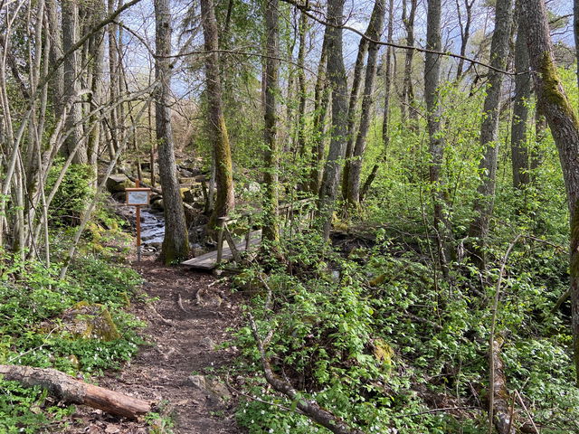 Rastplats Forsbyån, Upplandsleden etapp 1:2