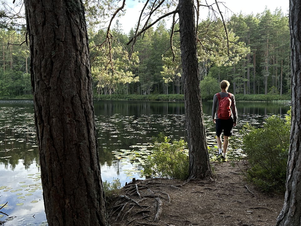Det är minst sagt rogivande att tyst vandra genom de djupa skogarna och de spegelblanka sjöarna i Sm…