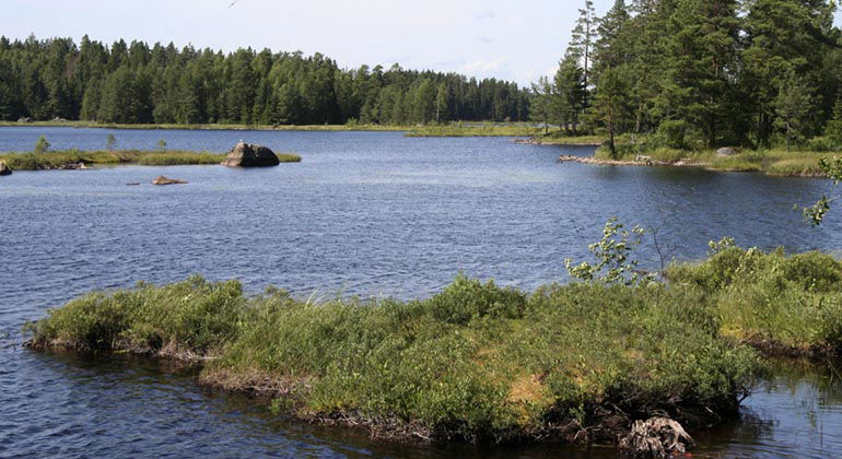 Angsjön.