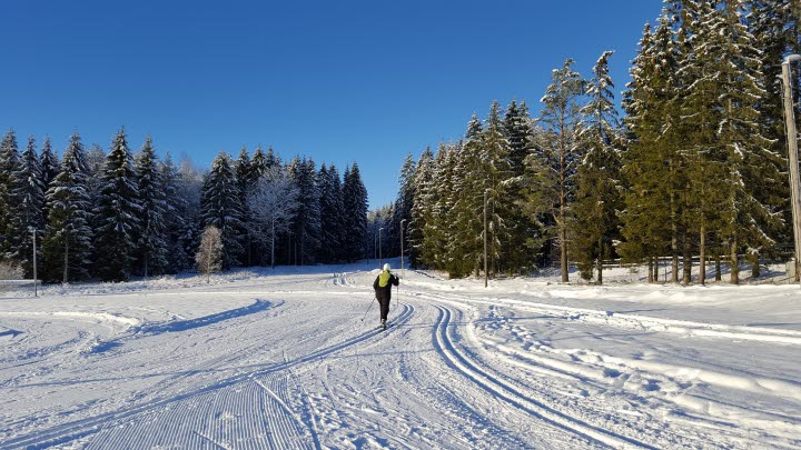 Hanebol friluftsområde