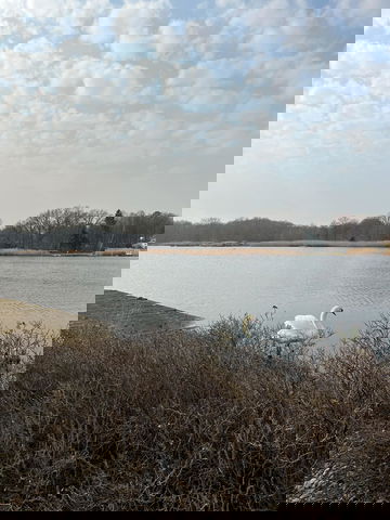 Busseviksvandringen- ÄlskaVår