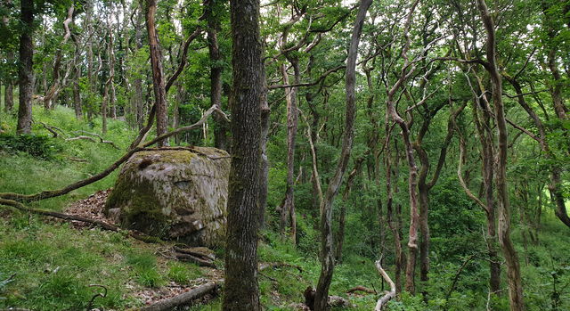 Joastorps naturreservat